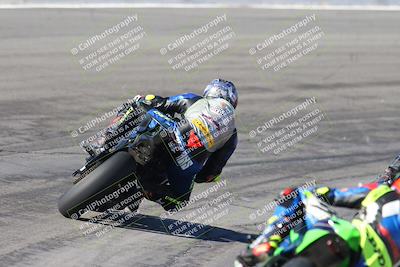 media/Feb-04-2024-SoCal Trackdays (Sun) [[91d6515b1d]]/4-Bowl Backside (11am)/